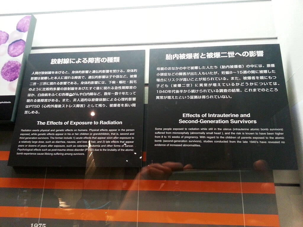 長崎原爆資料館の写真3