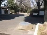 春の風公園