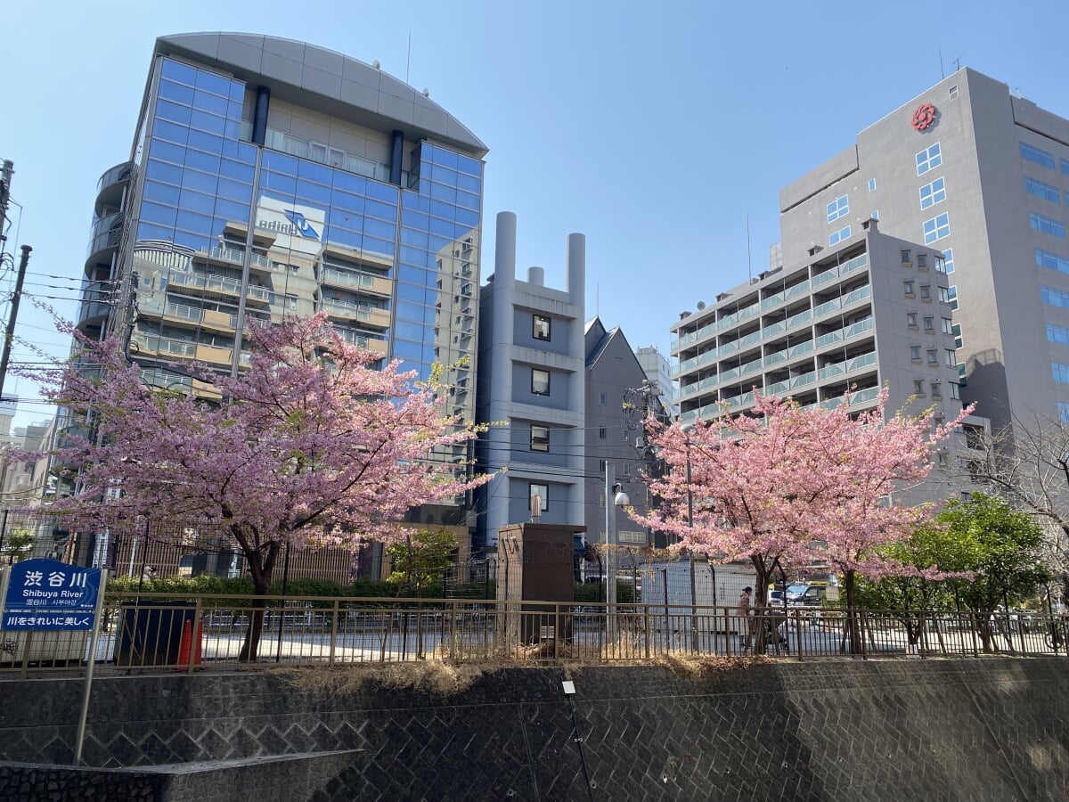 恵比寿公園の写真6