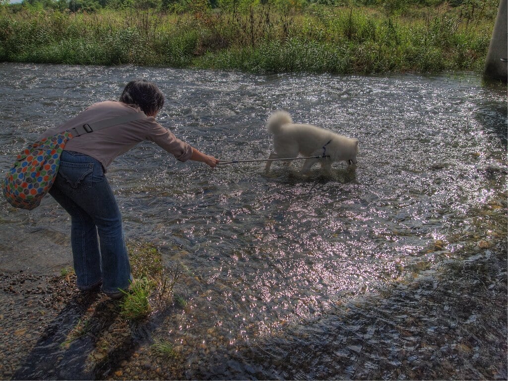 多摩川中央公園の写真2
