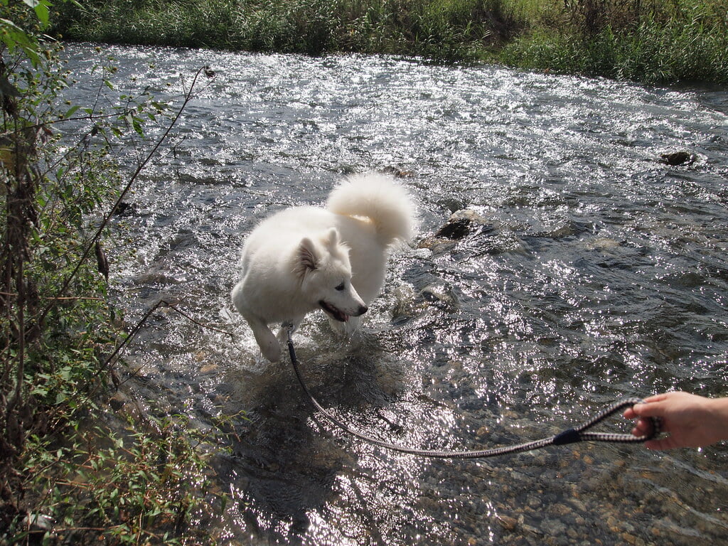多摩川中央公園の写真3