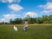 多摩川中央公園
