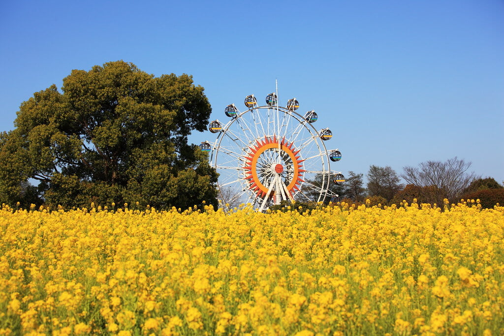 熊本市動植物園の写真4