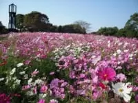 熊本市動植物園