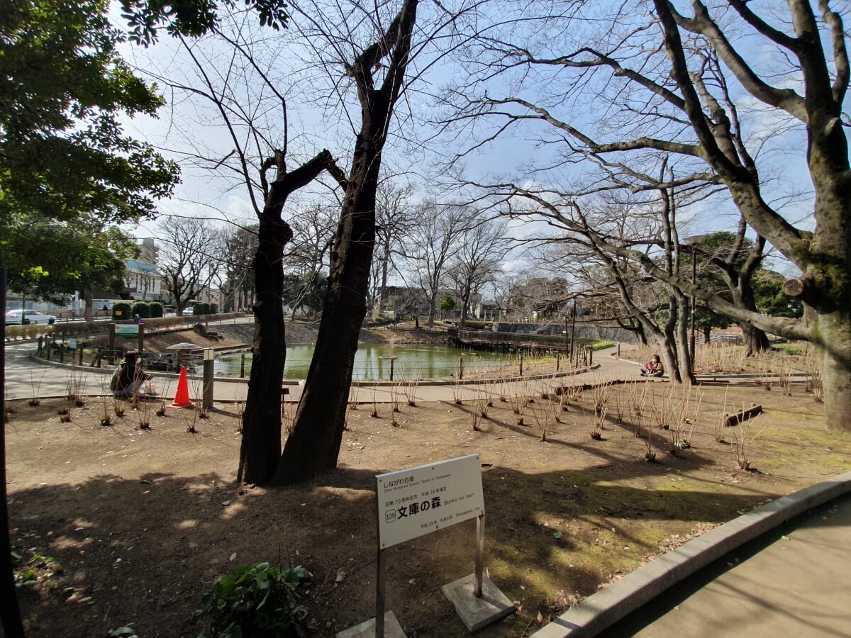 文庫の森の写真1