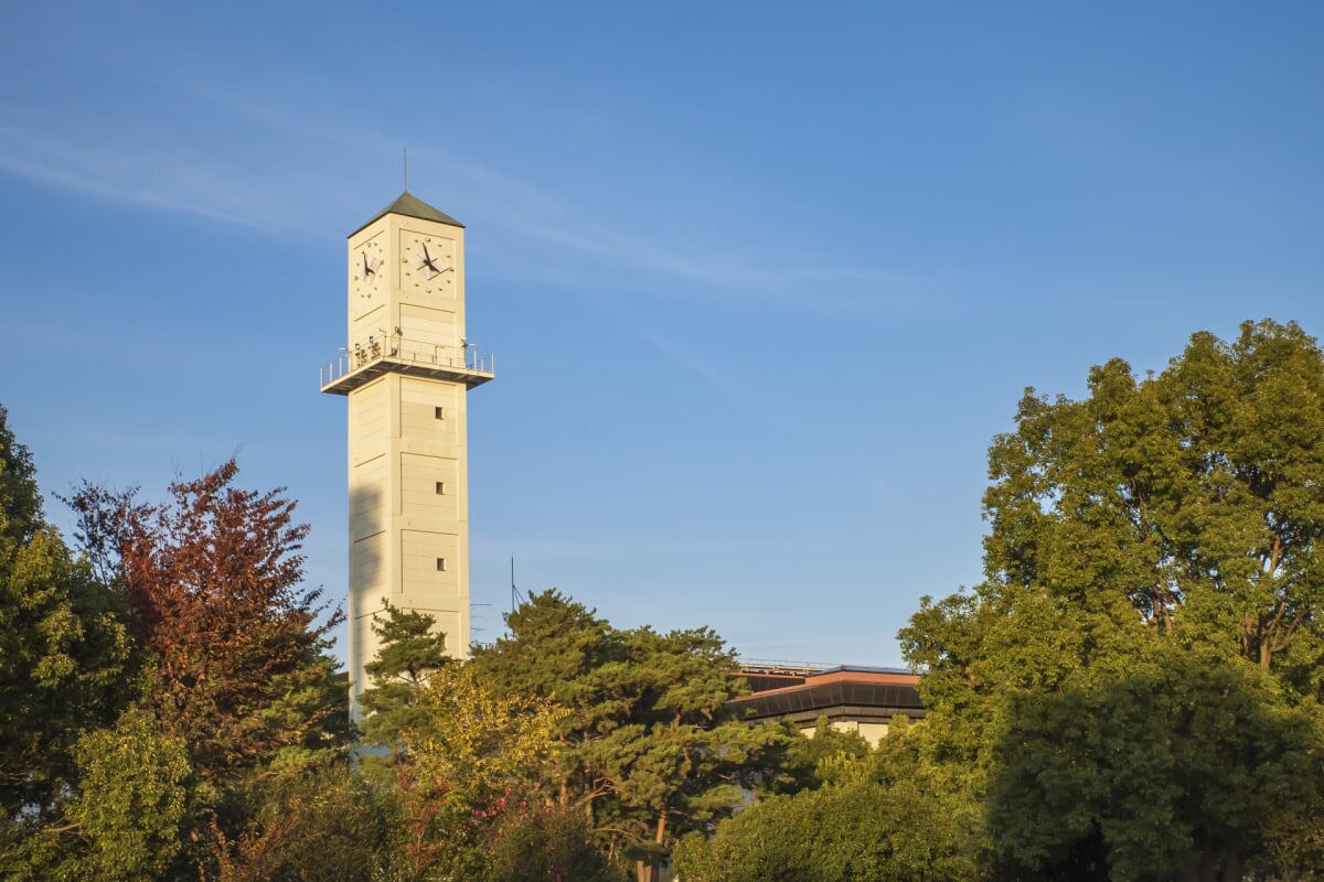 小瀬スポーツ公園の写真5