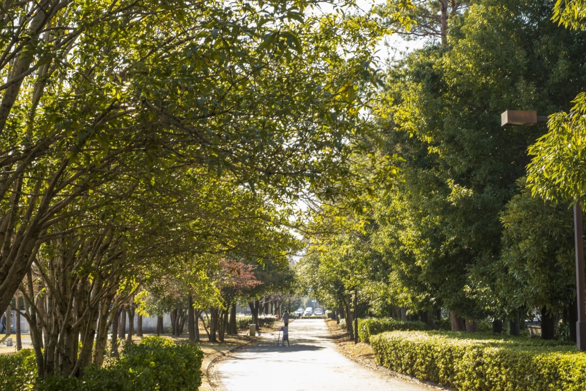 小瀬スポーツ公園の写真9