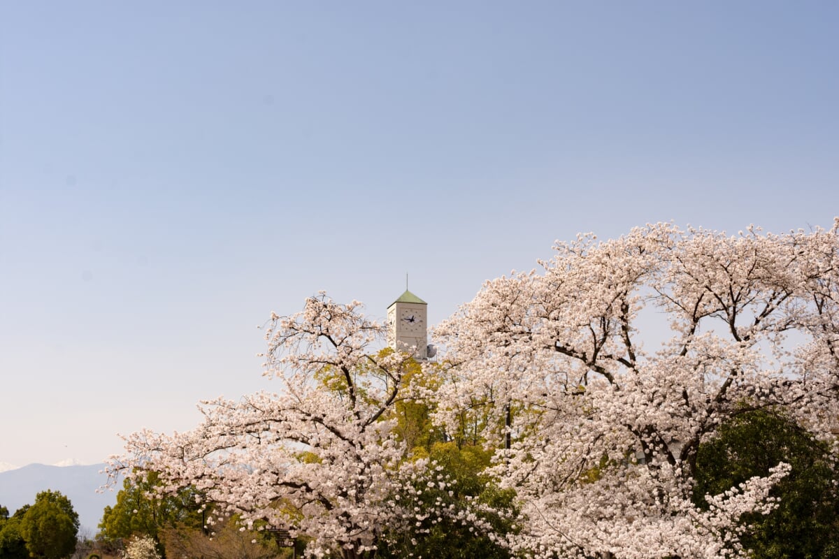 小瀬スポーツ公園の写真10