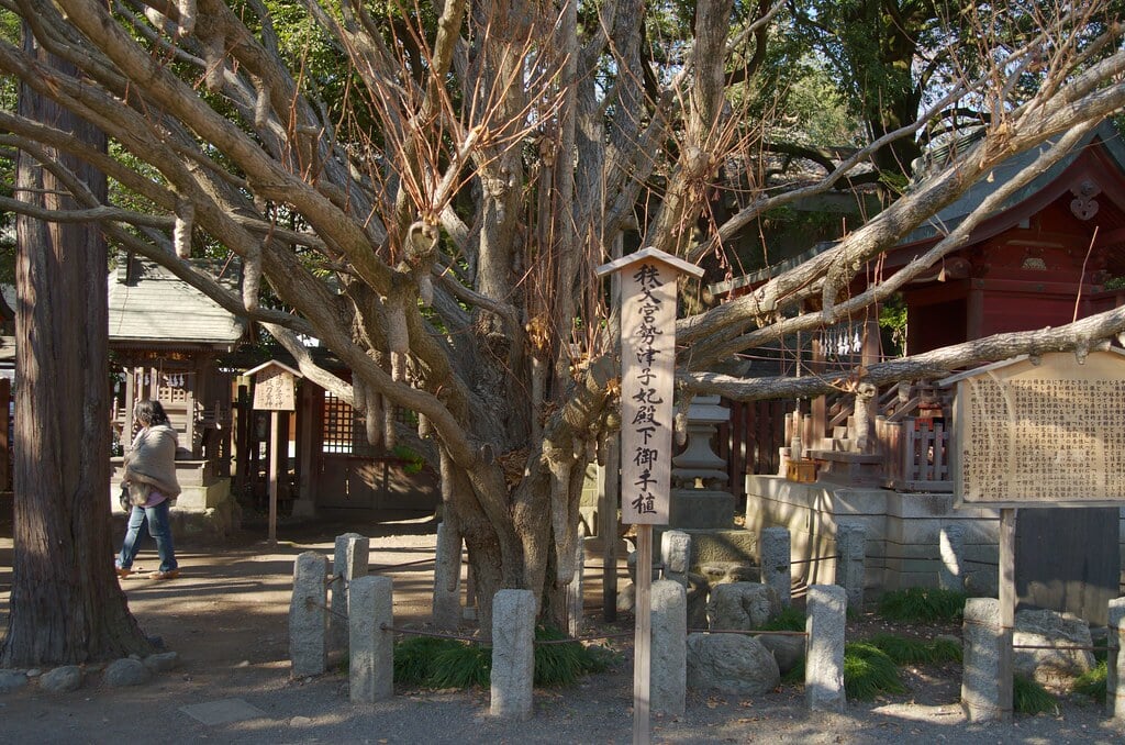秩父神社の写真11