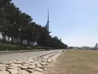 シーサイドももち海浜公園
