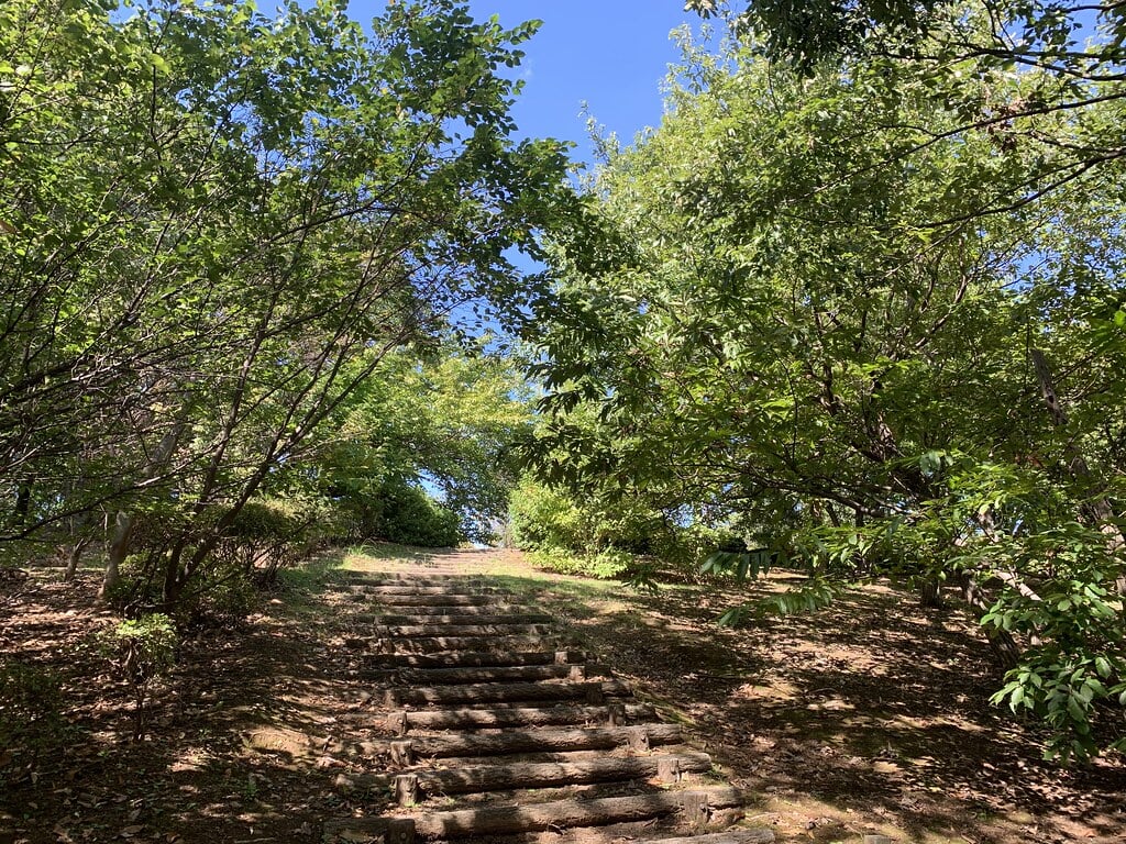 小山白山公園の写真2