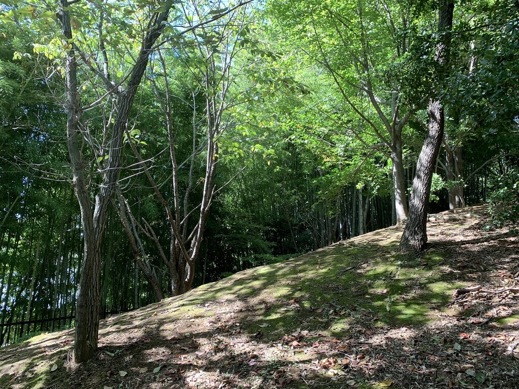 小山白山公園の写真3