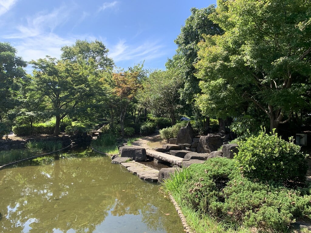 小山白山公園の写真4