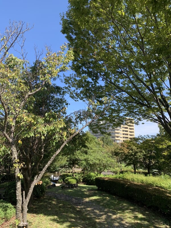 小山白山公園の写真6