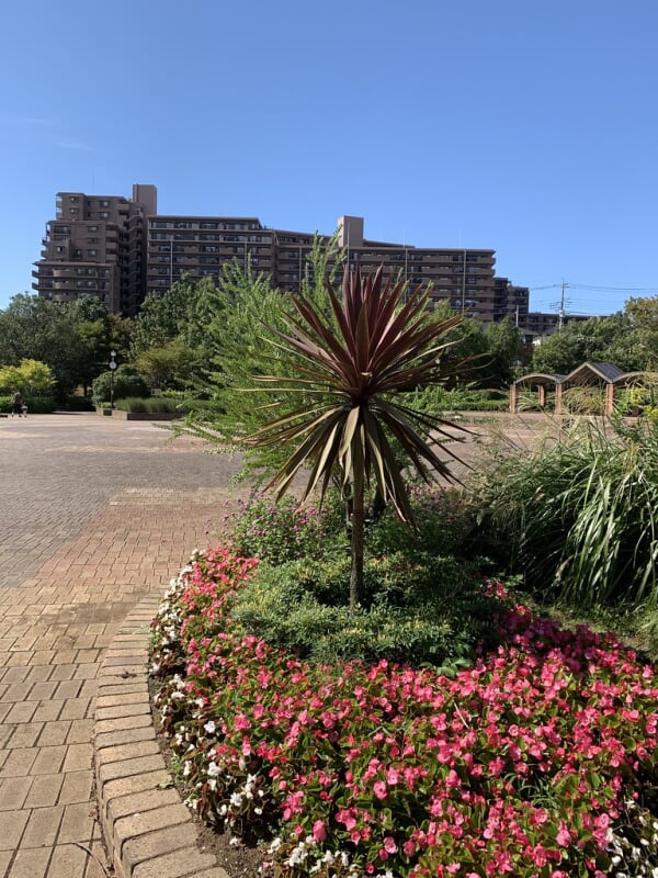 小山白山公園の写真8