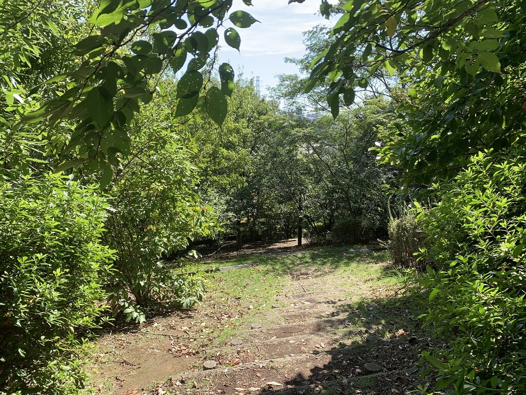 小山白山公園の写真9