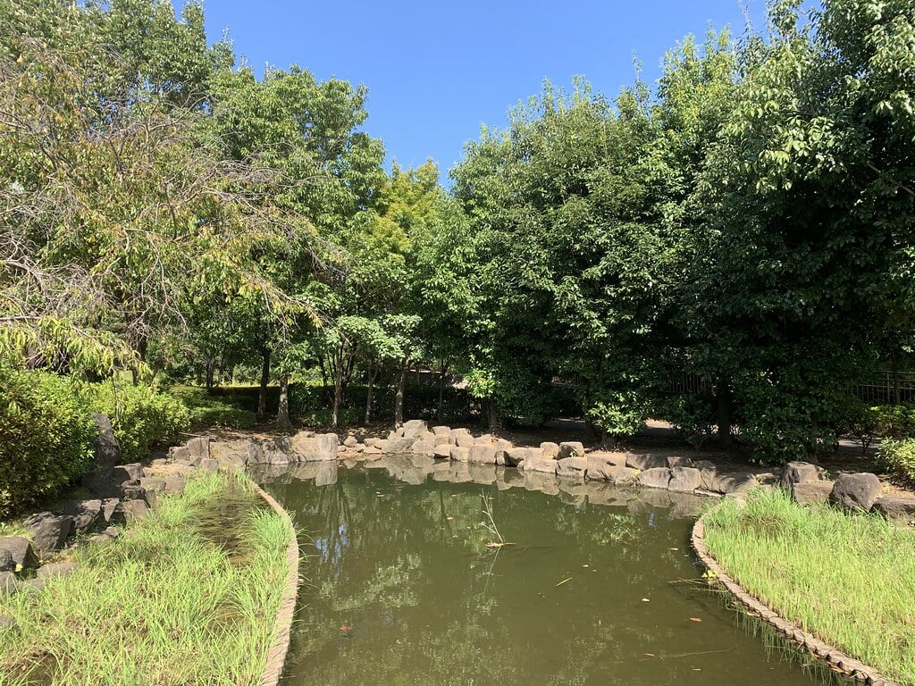 小山白山公園の写真11