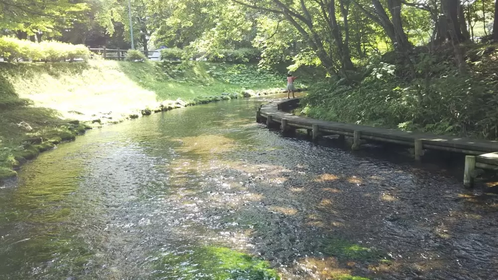 名水ふれあい公園の写真1