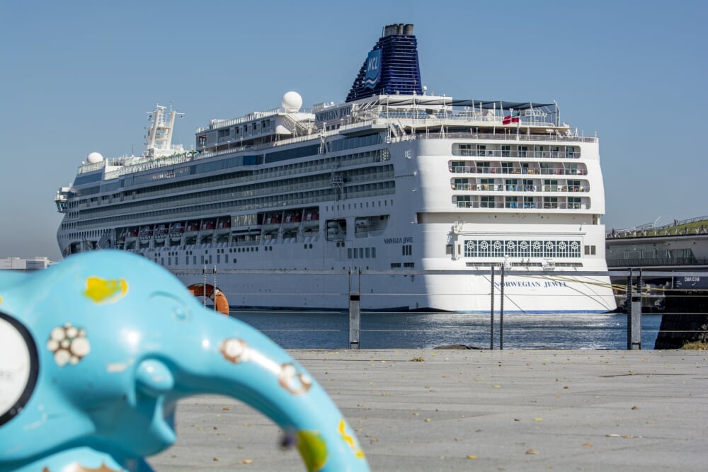 象の鼻パークの写真9