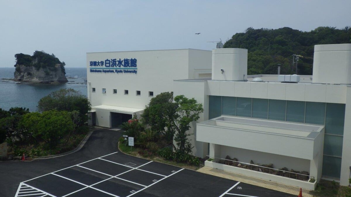 京都大学 白浜水族館の写真1