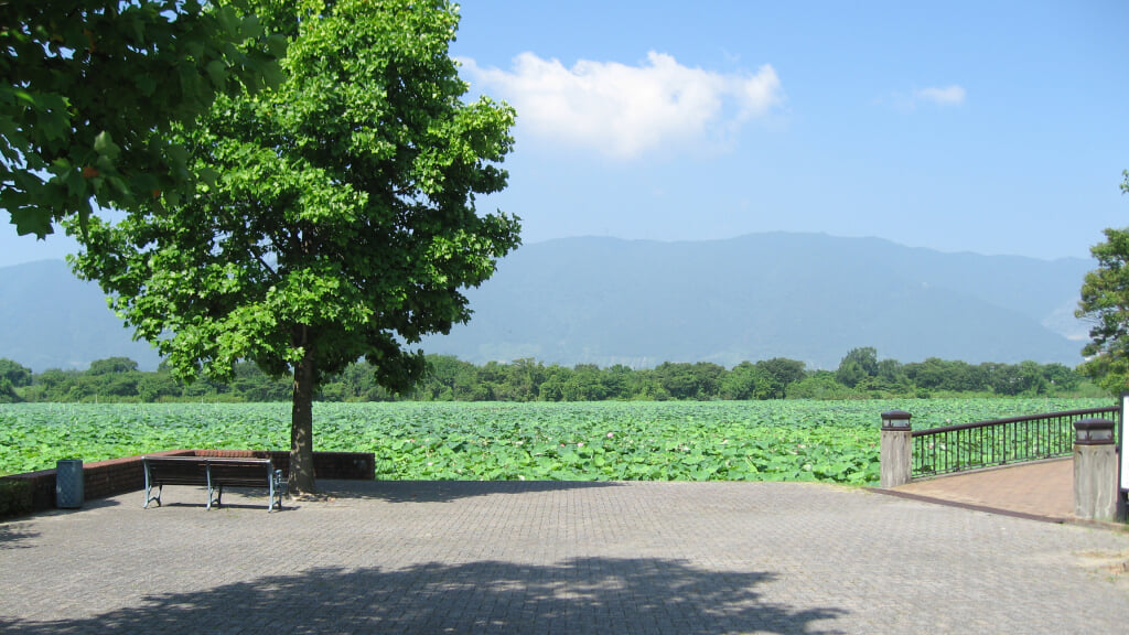 アクアワールド水郷パークセンターの写真2