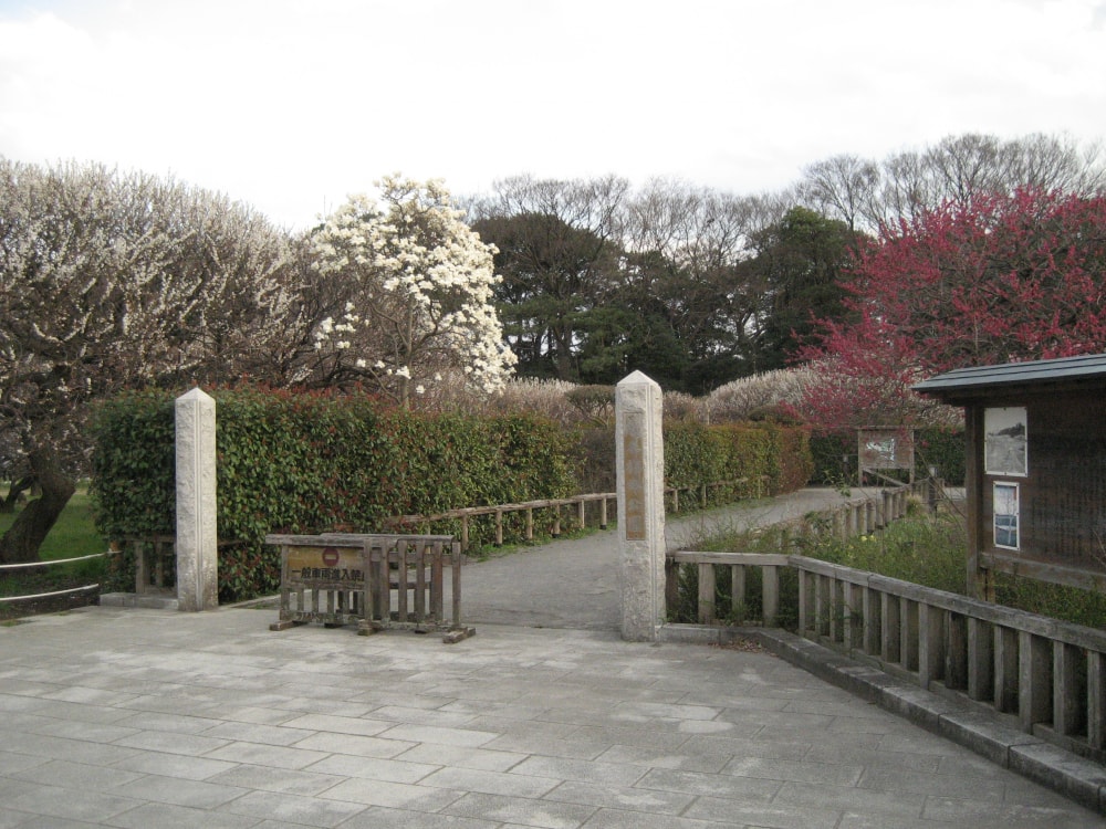 越谷梅林公園の写真3