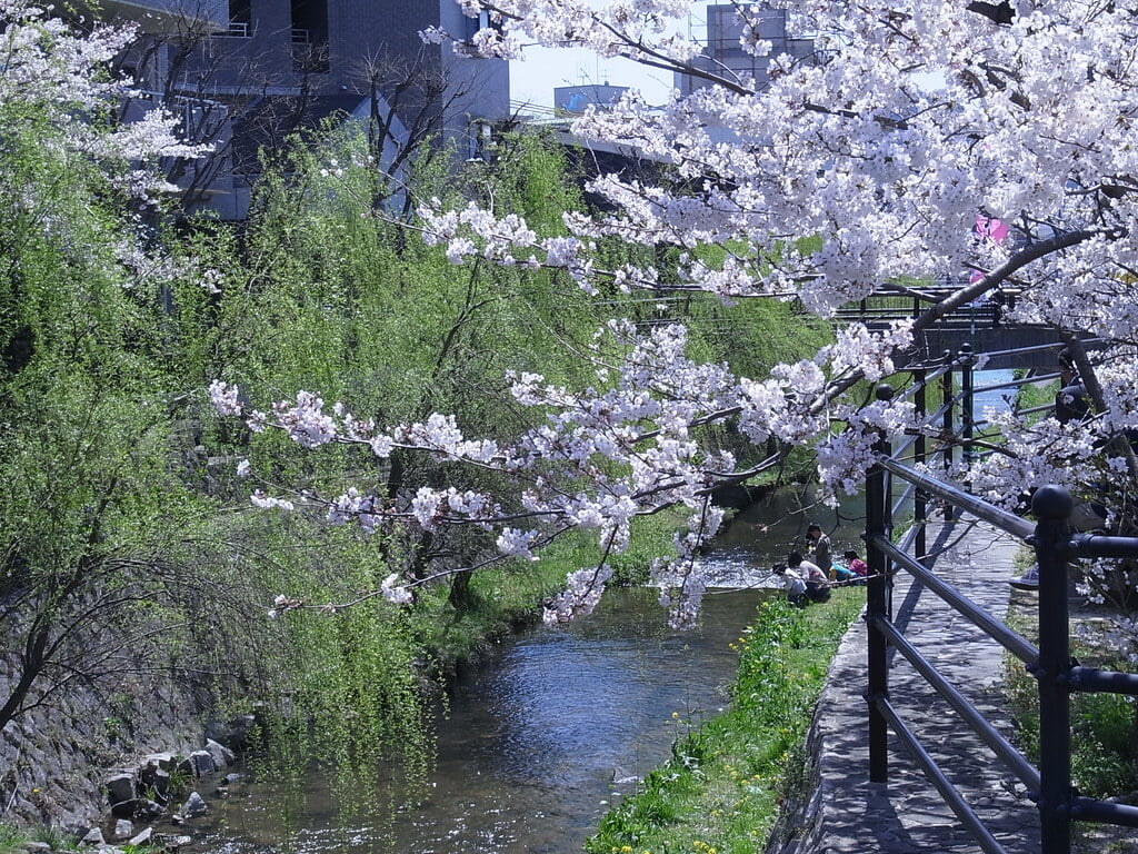 一の坂川の写真3