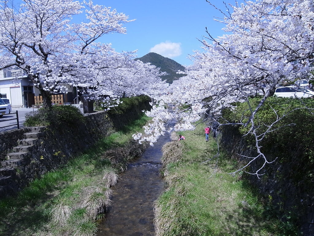 一の坂川の写真4