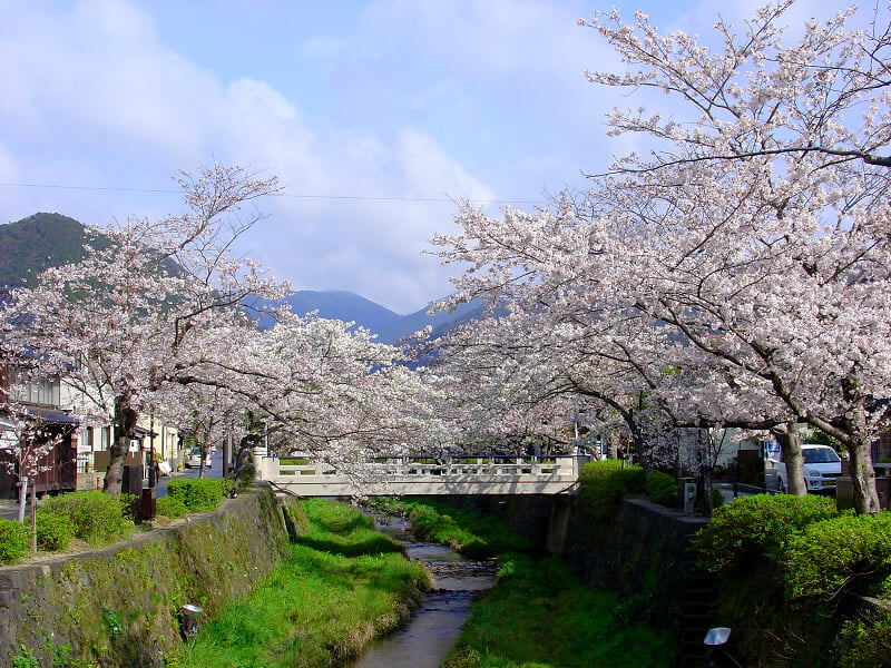 一の坂川の写真5