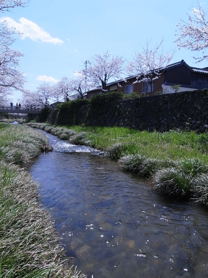 一の坂川の写真9