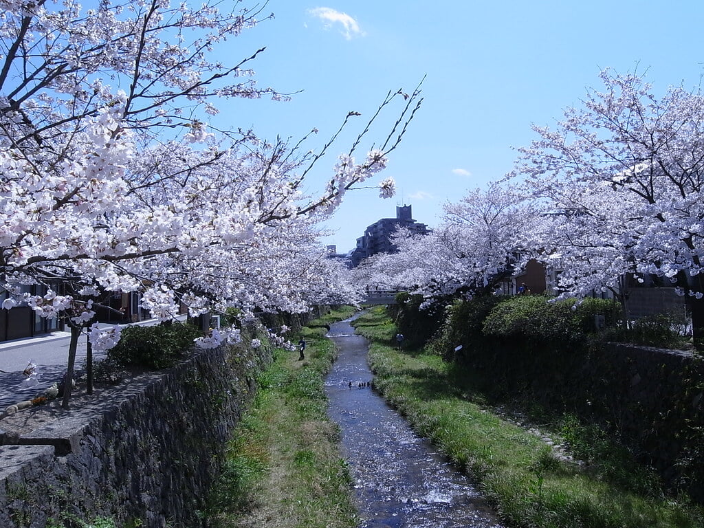 一の坂川の写真1