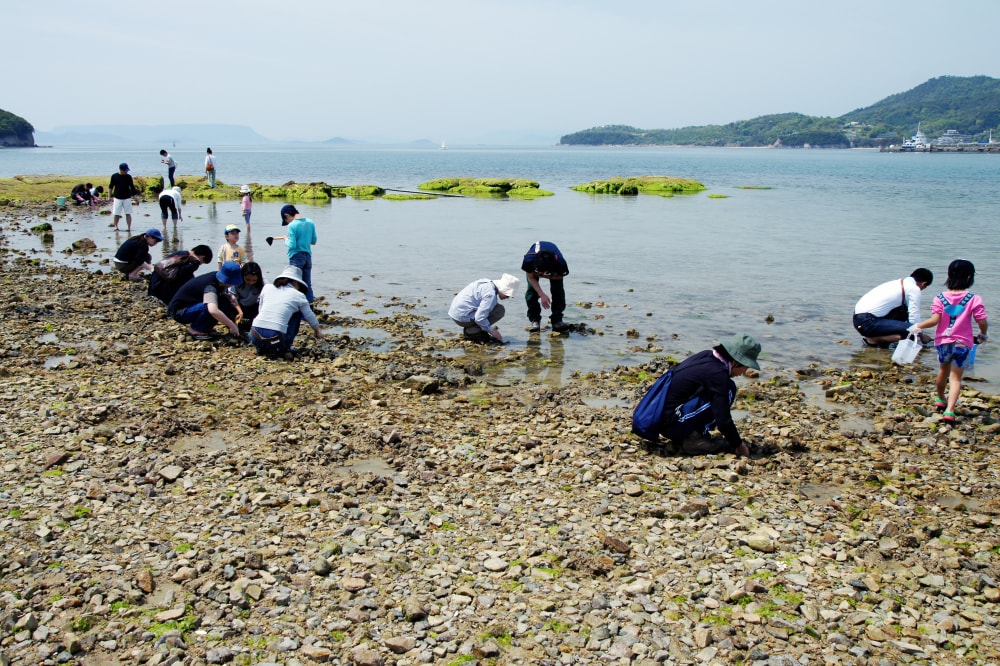 エンジェルロードの写真3