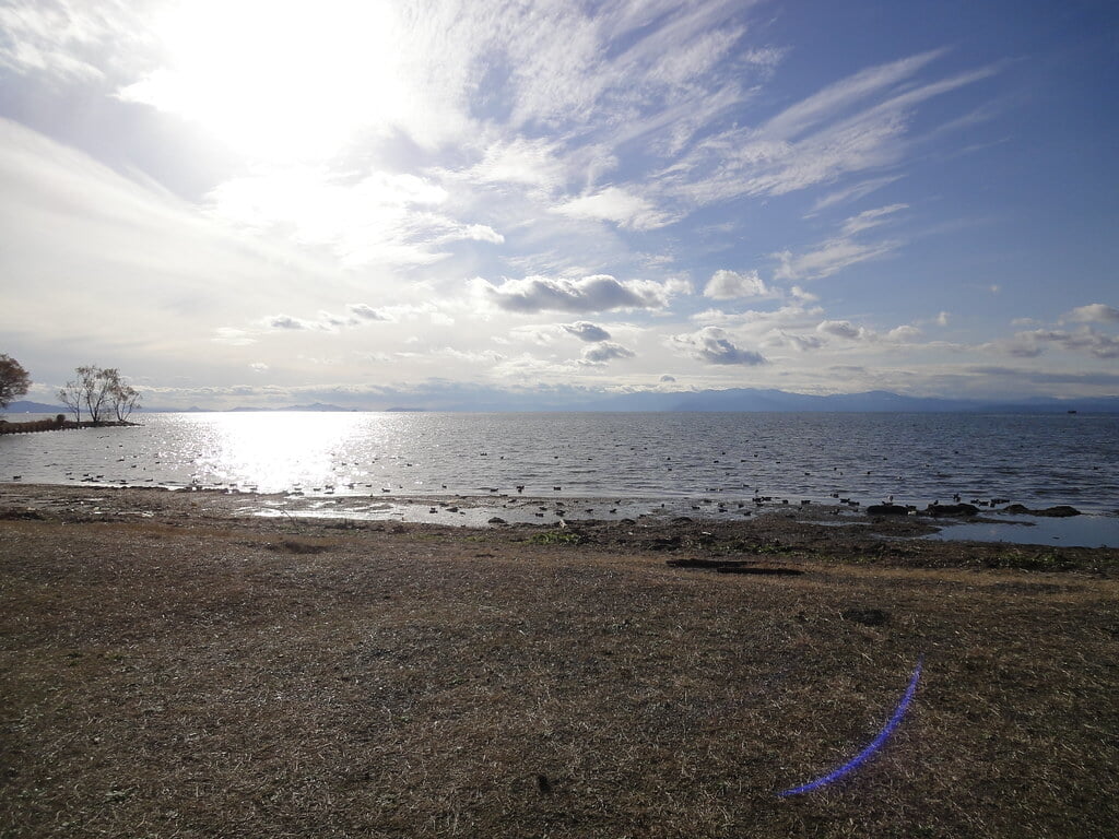 豊公園(長浜城)の写真7