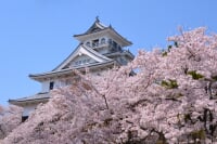 豊公園(長浜城)