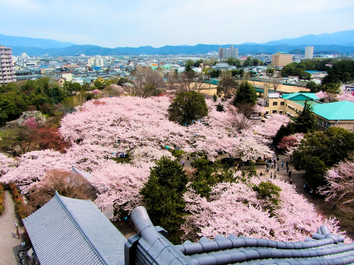 豊公園(長浜城)の写真8