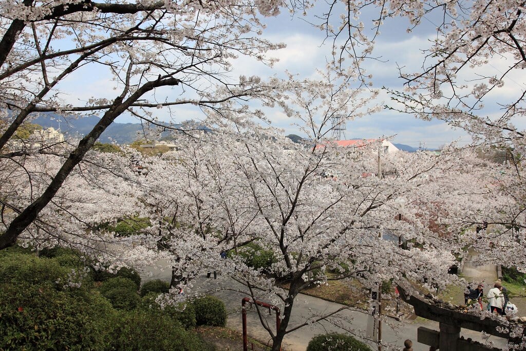小城公園の写真2