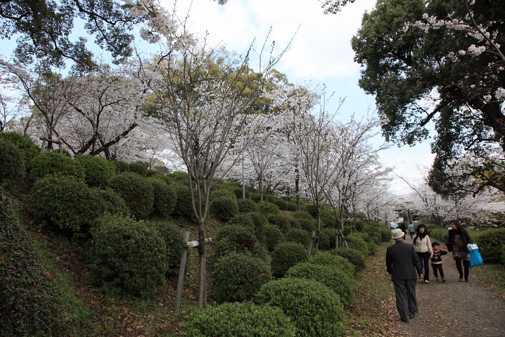 小城公園の写真3