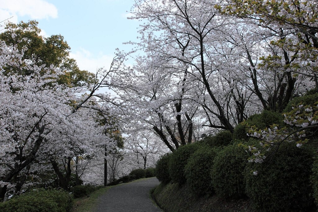小城公園の写真5