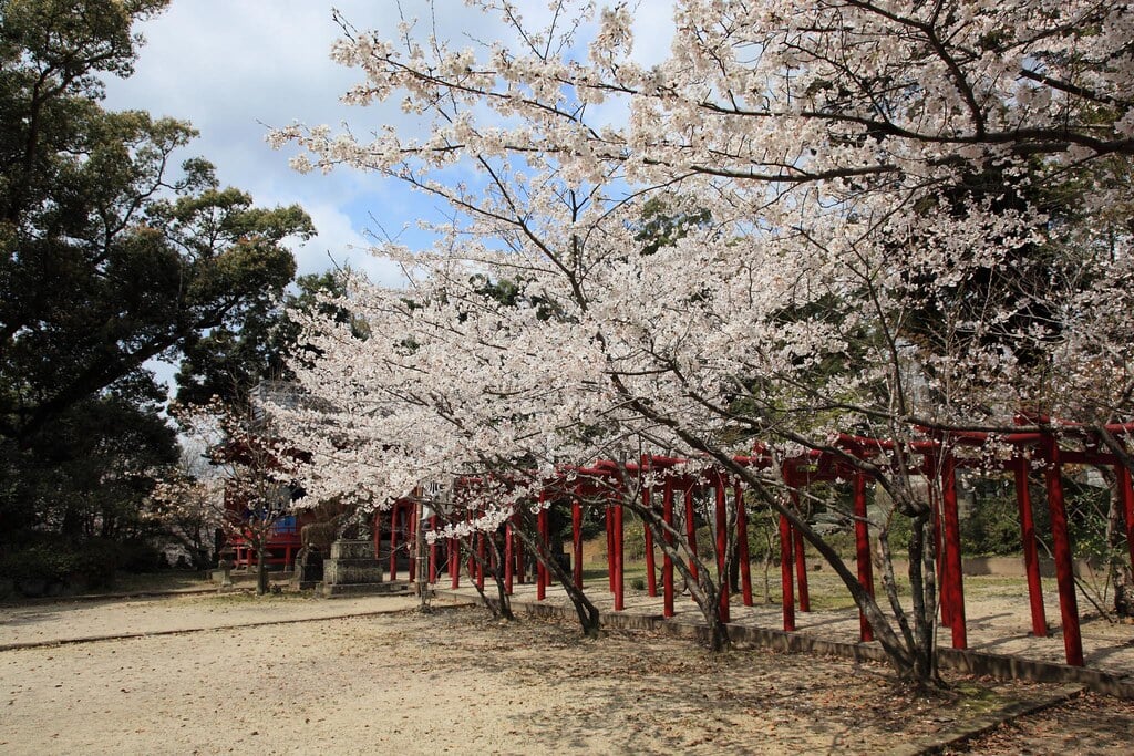 小城公園の写真7
