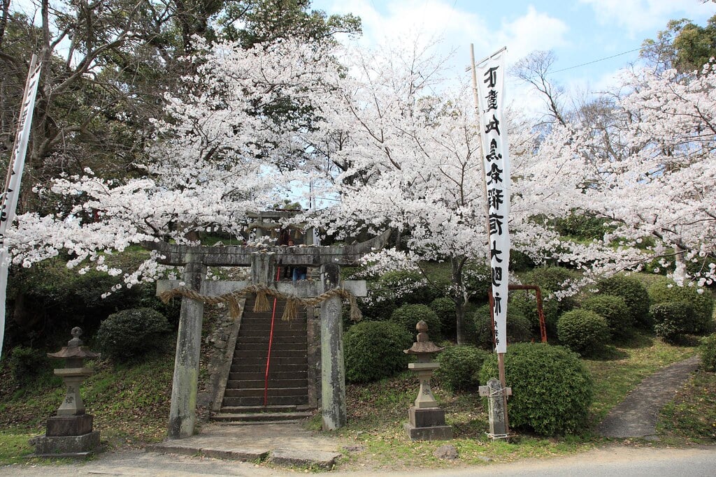 小城公園の写真8