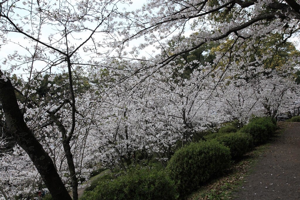 小城公園の写真9