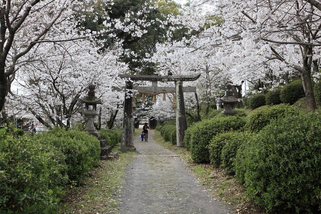 小城公園の写真10