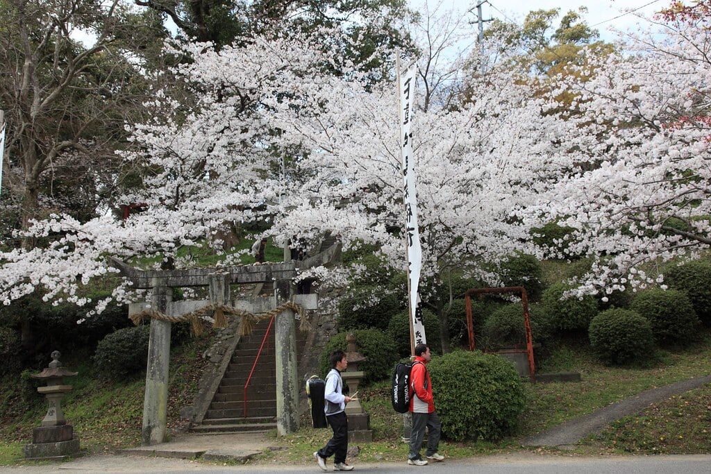 小城公園の写真13
