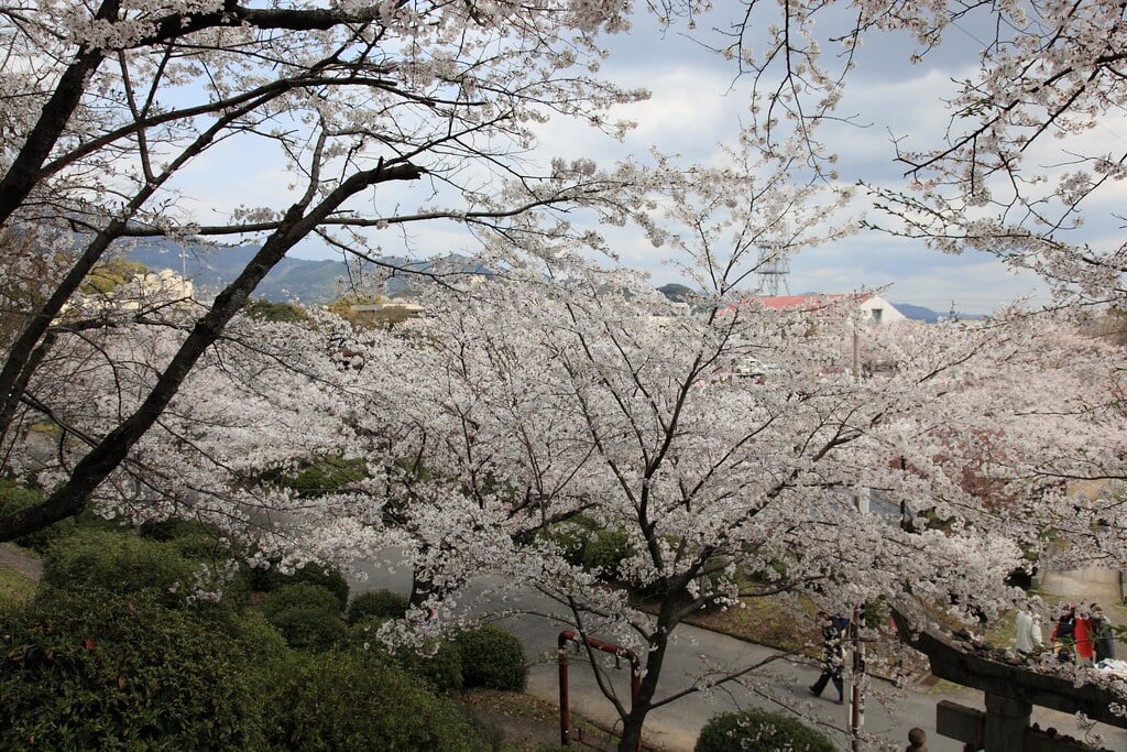 小城公園の写真14