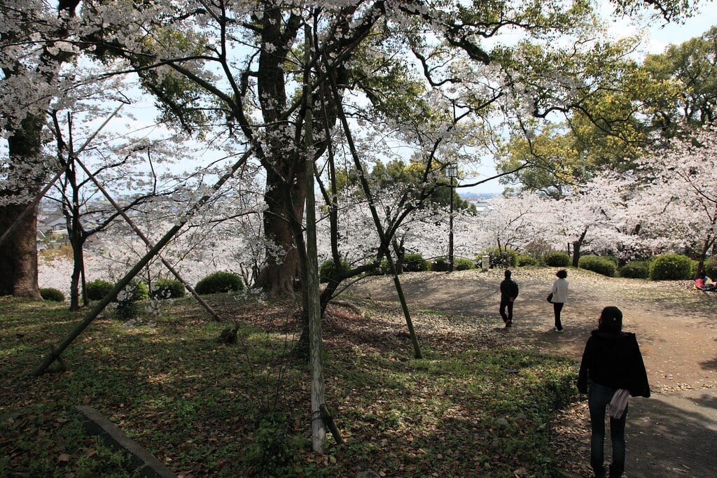 小城公園の写真15