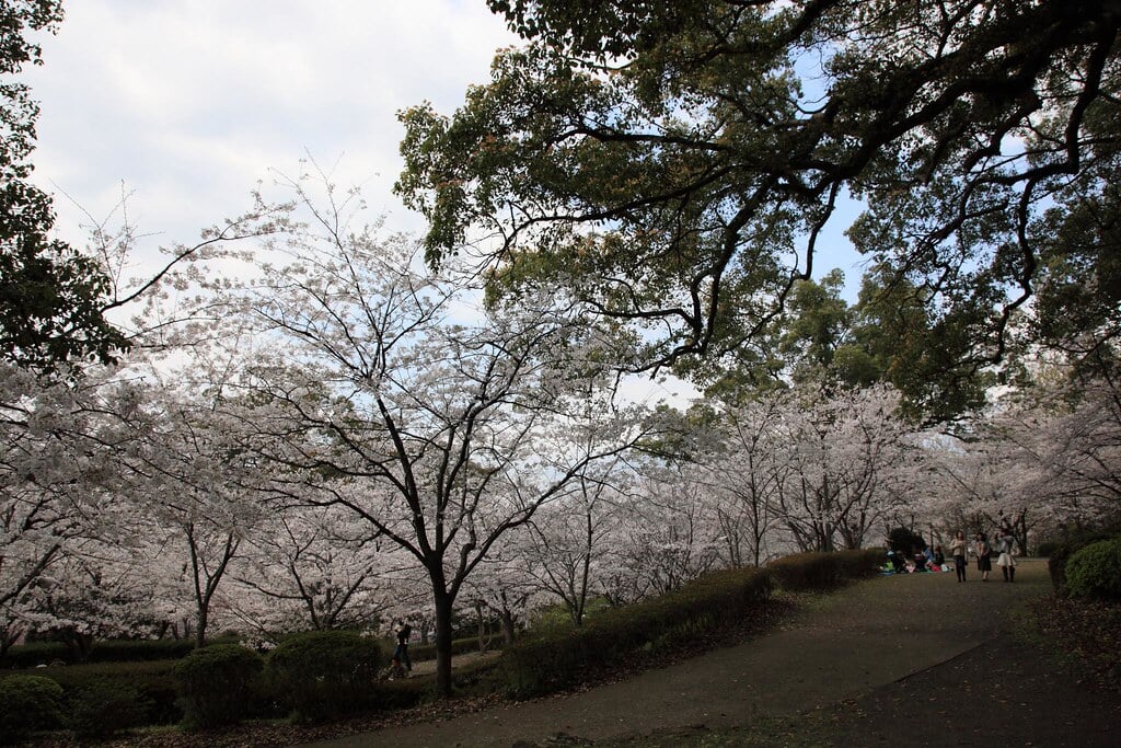 小城公園の写真18
