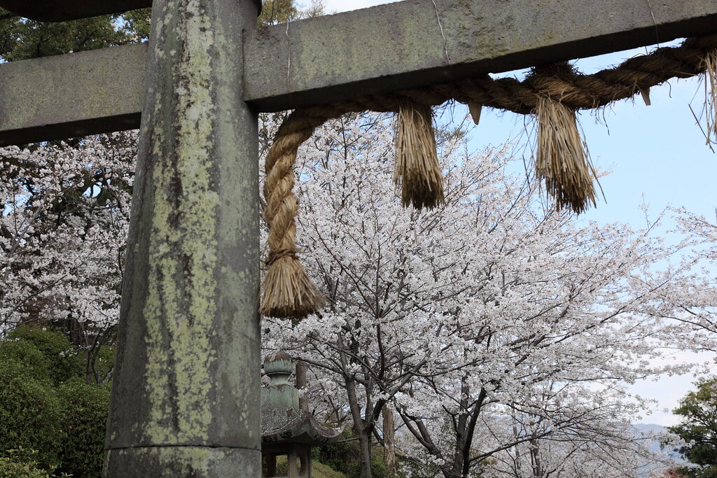 小城公園の写真19