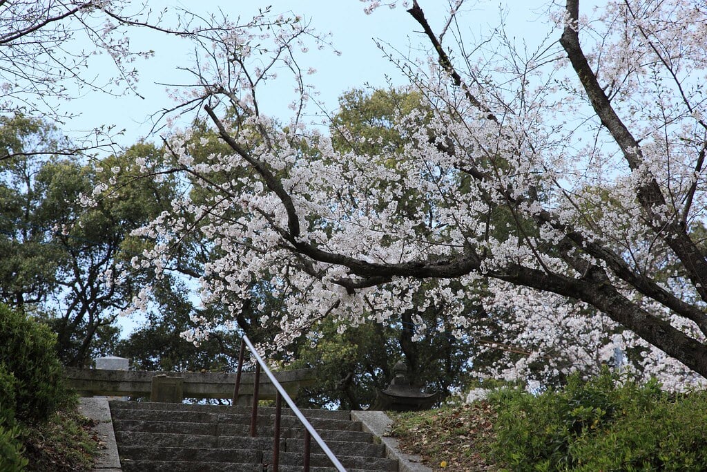 小城公園の写真21