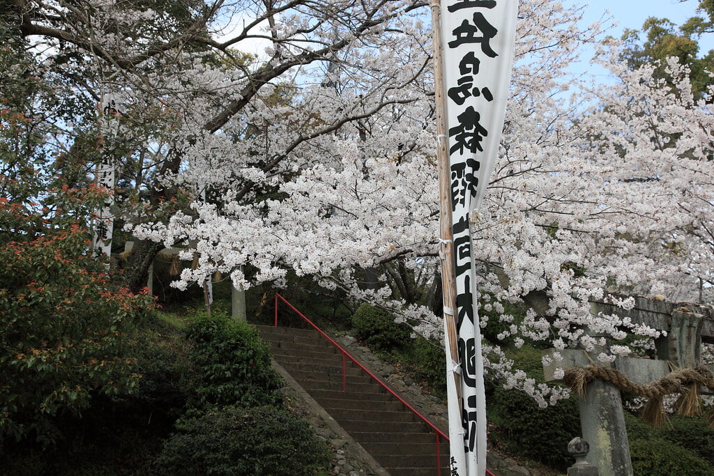 小城公園の写真22
