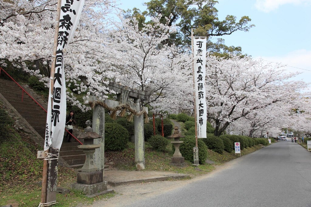 小城公園の写真24